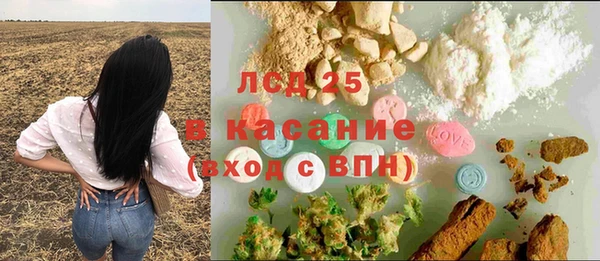 шишки Кукмор